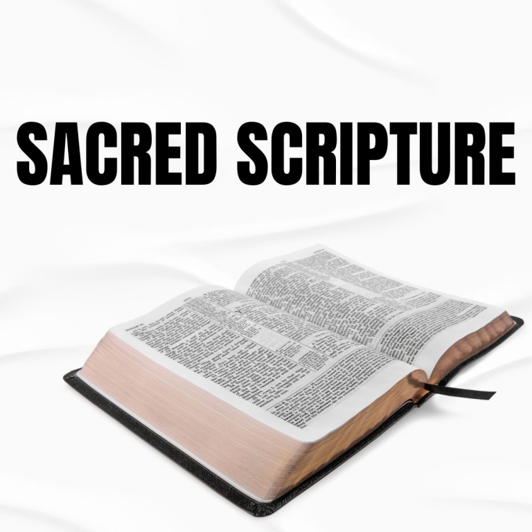 Sacred Scripture, Part One with Gary Michuta - Homeschool Connections
